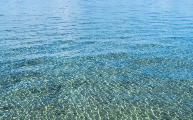 Nest Hotel Ishigaki Maesato Beach