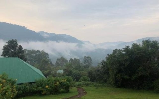 Gorilla Mist Camp