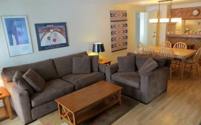 Chateaux Condominiums By Crested Butte Lodging