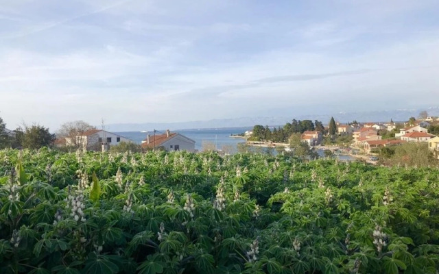 Ružica - 50m From the sea - A1-ruža