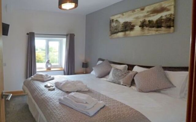 House Standary Llandrindod Wells
