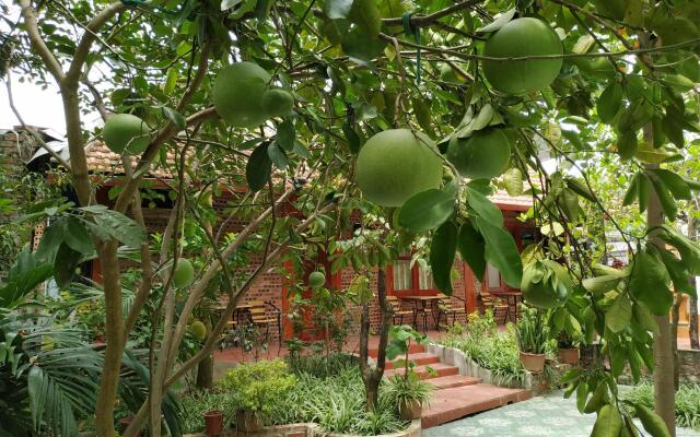 Thanh Dat Homestay