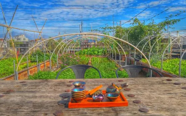 Jomo Cultural Chinese Inn (Changtai Bus Station)