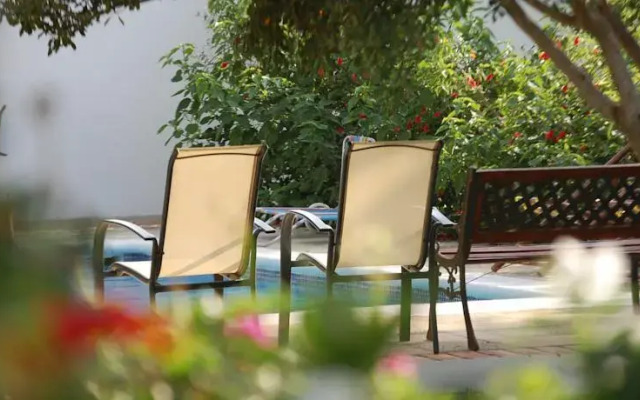 Oasis El Pinar