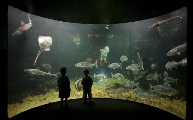 Dog Friendly Cozy Bell Tent With Log Burner