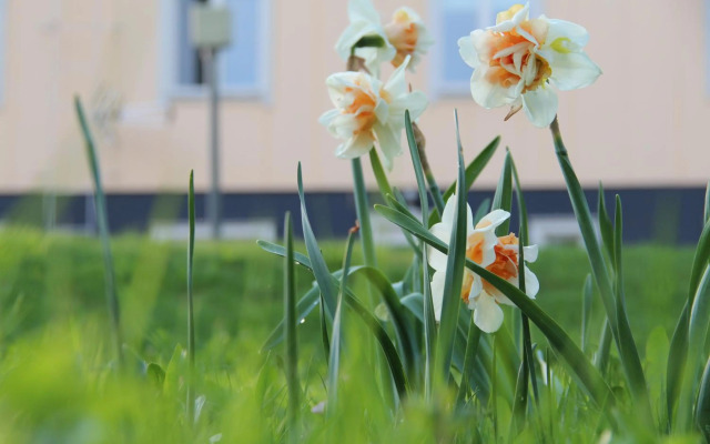 Casino Islands Getaway