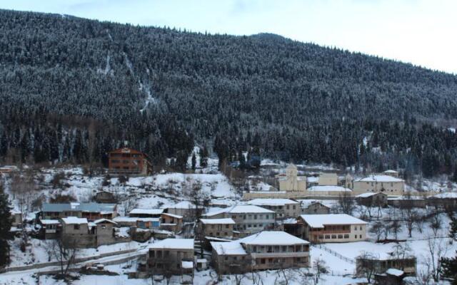Guest House Natia