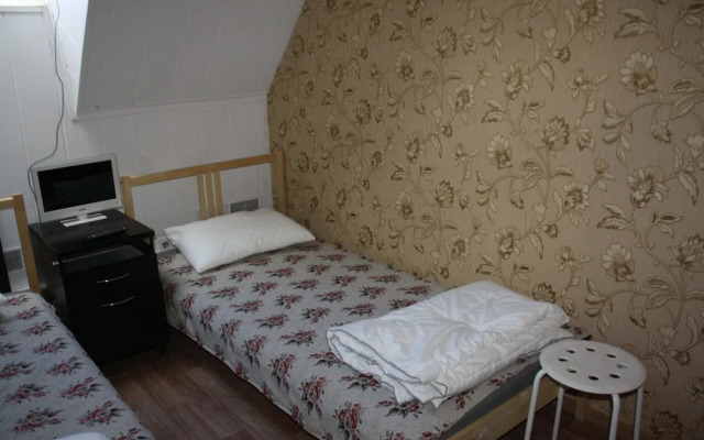 Mini Hotel Avrora - Hostel