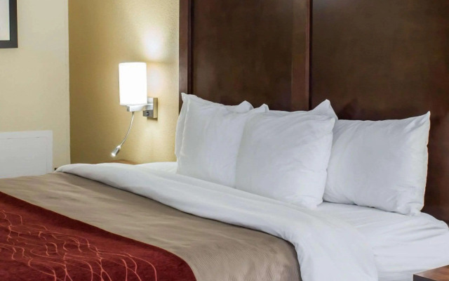 Comfort Inn Garner Clayton I-40