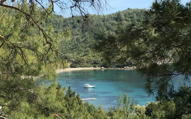 Yakamoz Pansiyon Mazı
