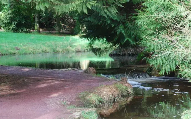 Maison Driscoll