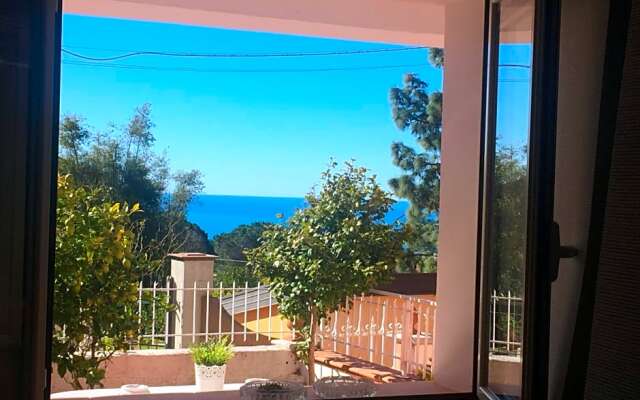 BB Villa Rosa