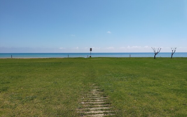 Acv - Isla Park-1 Línea Planta 1 Sur