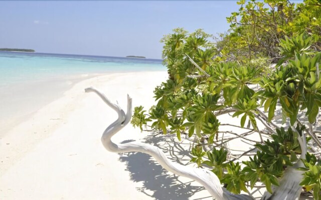 Beach Stay Maldives