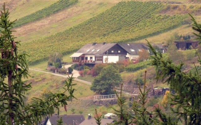 Weingut & Gästehaus Sonnenhof