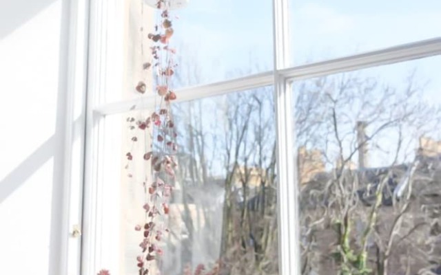 1 Bedroom Flat Near The Meadows