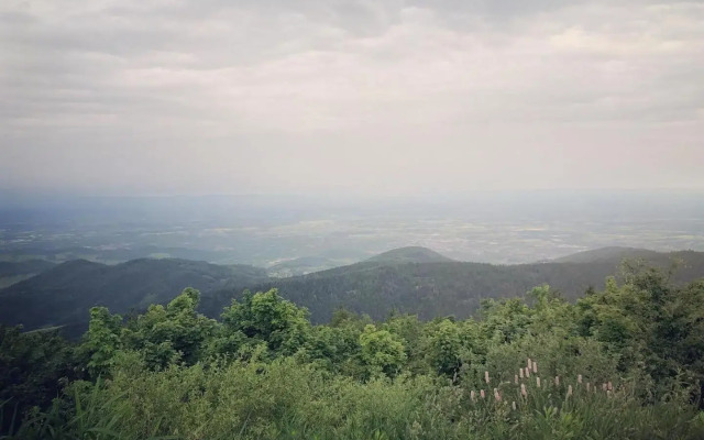 Schwarzwald Wohnung Kniebis