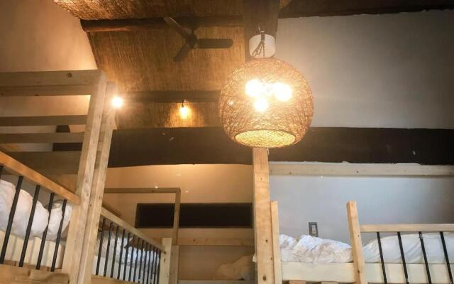 Mad Cat Hostel Osaka & Bar
