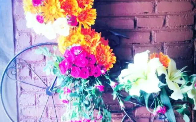 Xiao Yin Xiao Ju Inn