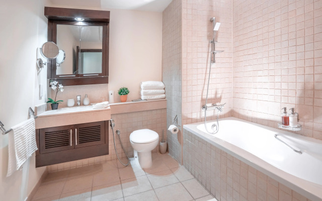 Elite Royal Apartment - Burj Khalifa & Fountain view - Platinum