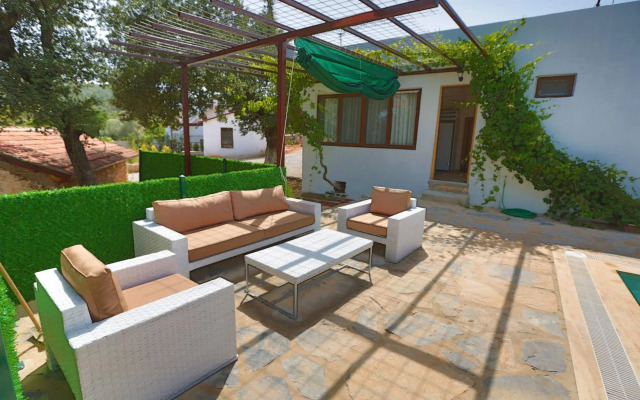 Tomato Bodrum