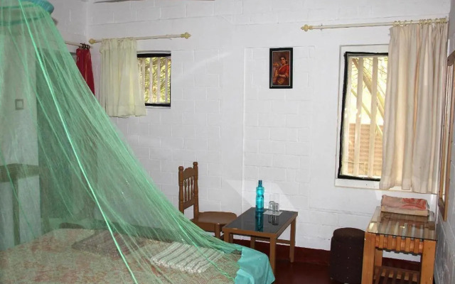 Ocean Green Kerala