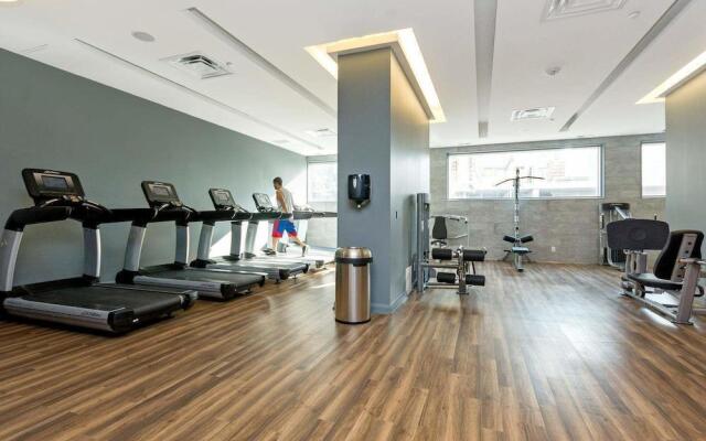 WhiteHall Suites- Yorkville