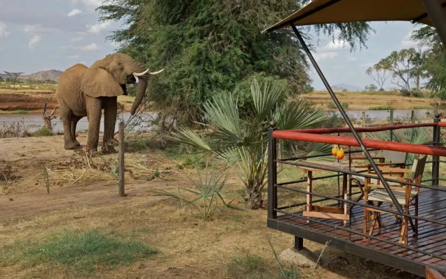 Samburu Lodge
