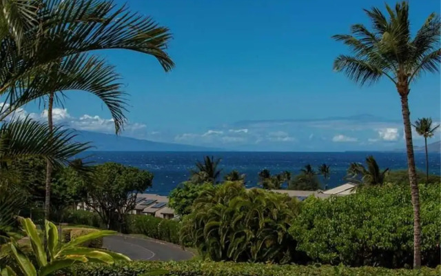 Maui Kamaole J-116 - 1 Br Condo