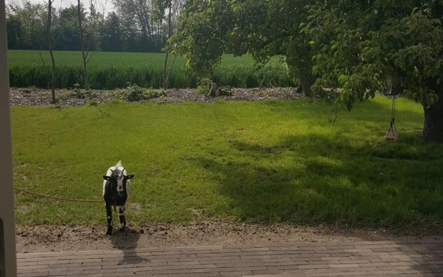 zomerhuisje by the sea