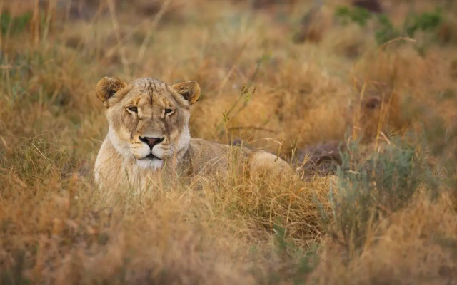 Shakama Private Game Lodge & Spa
