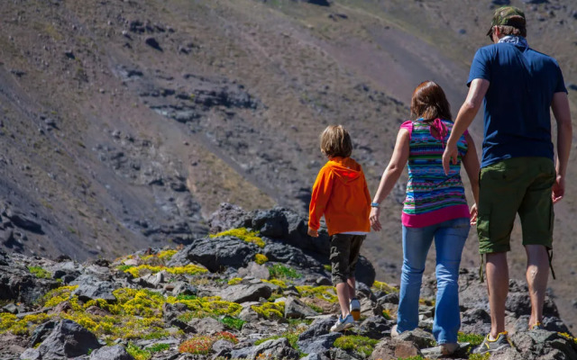 Puma Lodge by Noi Hotels