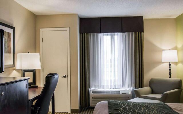 Comfort Inn & Suites St. Pete - Clearwater International Airport