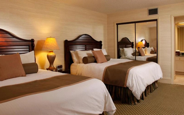 Saddlebrook Golf Resort & Spa Tampa North - Wesley Chapel