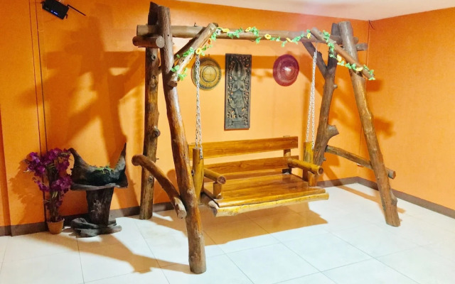 勋章菊酒店(Gazania)