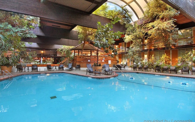 M Hotel Buffalo