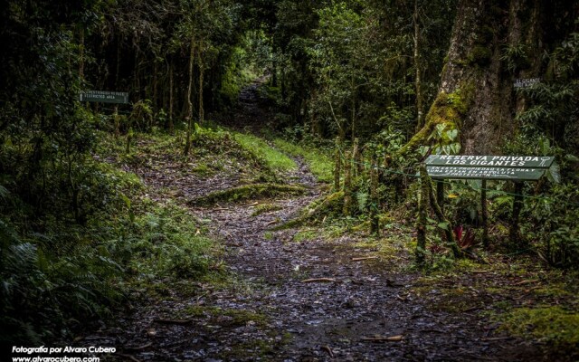 Paraíso Quetzal Lodge