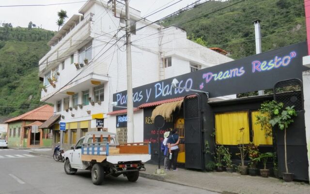 Hostal Plantas  Y Blanco