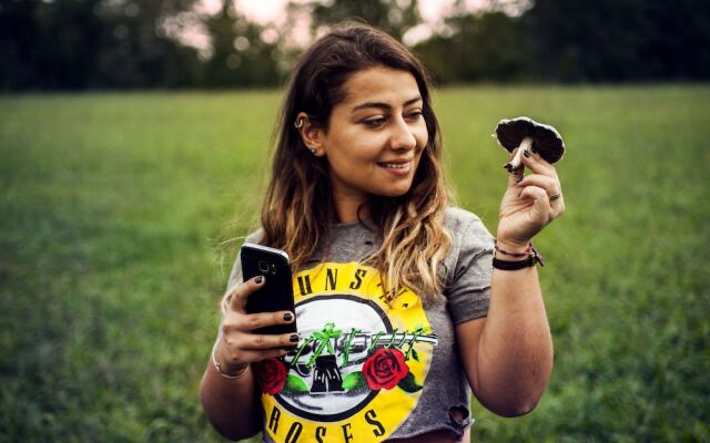 Nolichuckey Bluffs Cabins