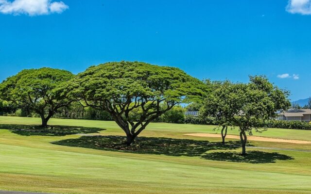 Kapalua Golf Villas 19T6