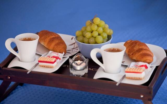 Apartament City Center Best View