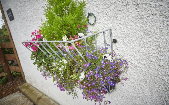 Newlands Farm Stables