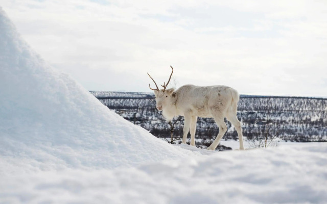 Thon Hotel Kautokeino