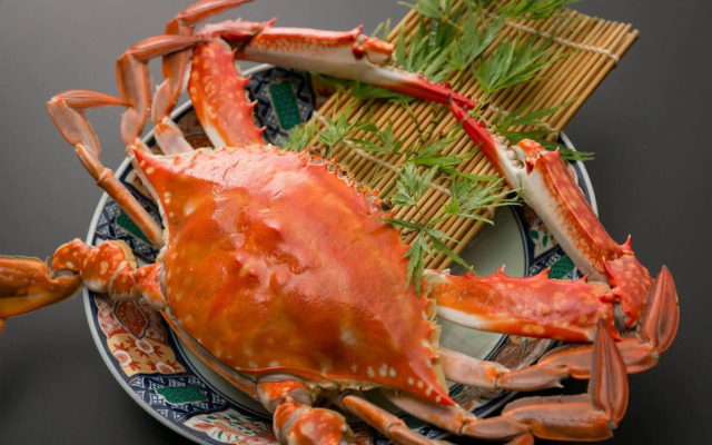 Tsuru no Oyado Tsurusou