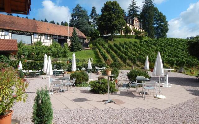 Wein Lodge Durbach - Josephsberg 2