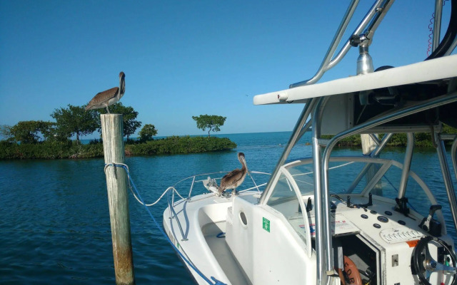 Conch Key Fishing Lodge and Marina