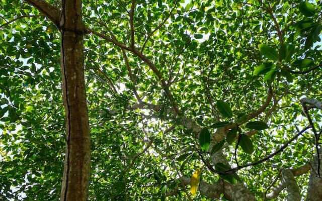 Ecohabs Bosques del Tayrona