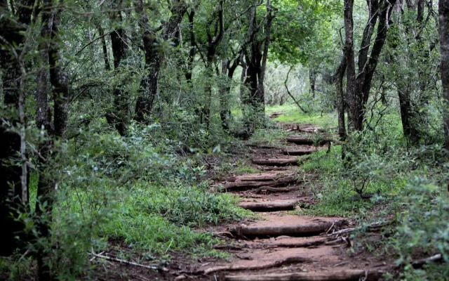 Royal Thonga Safari Lodge
