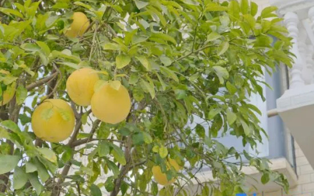 Qixi Liju B&B (Taoxichuan Cultural and Creative Block Store)