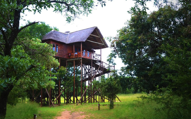 Pezulu Tree House Lodge